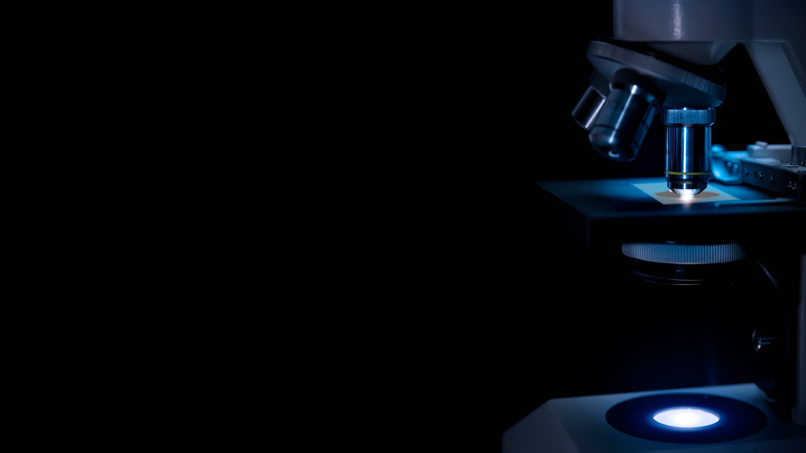 Laboratory microscope illuminated over a specimen slide in low blue light